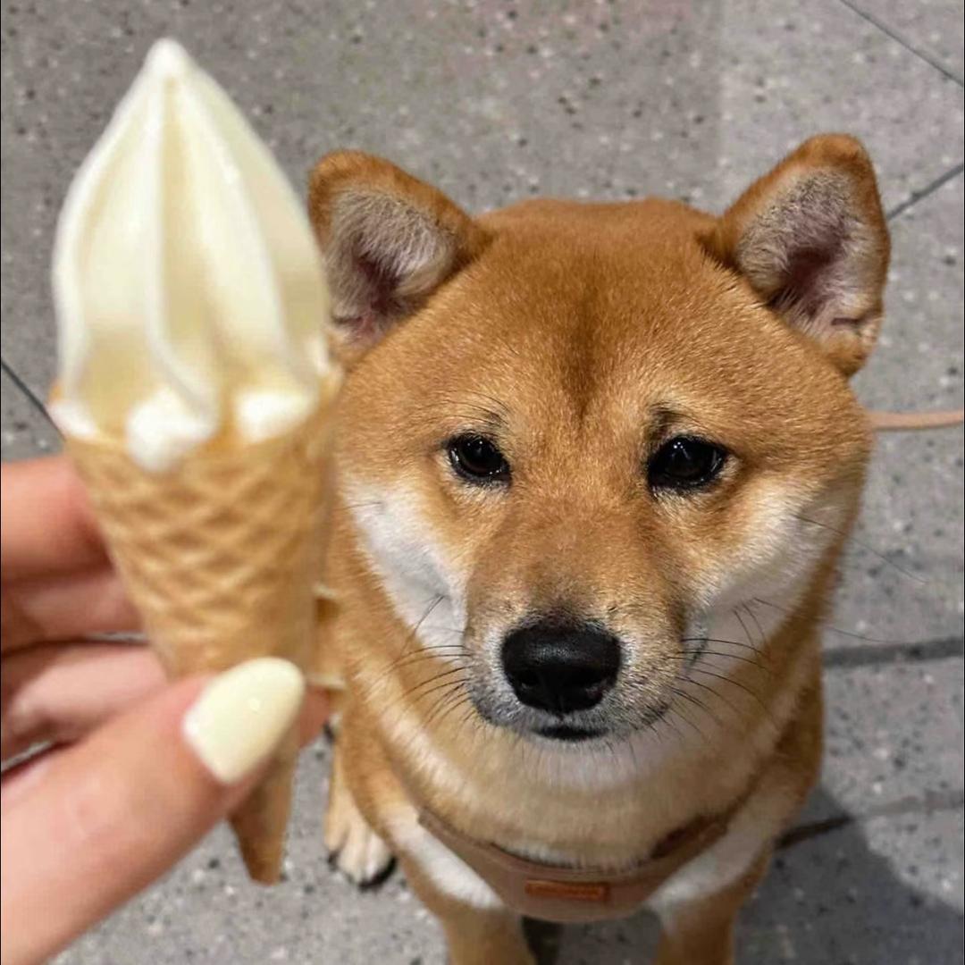 限期心动