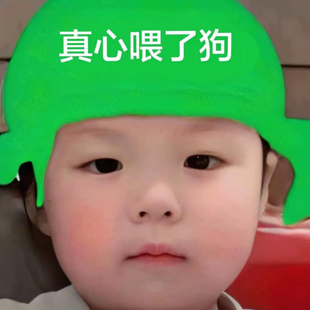 你再狗叫试试