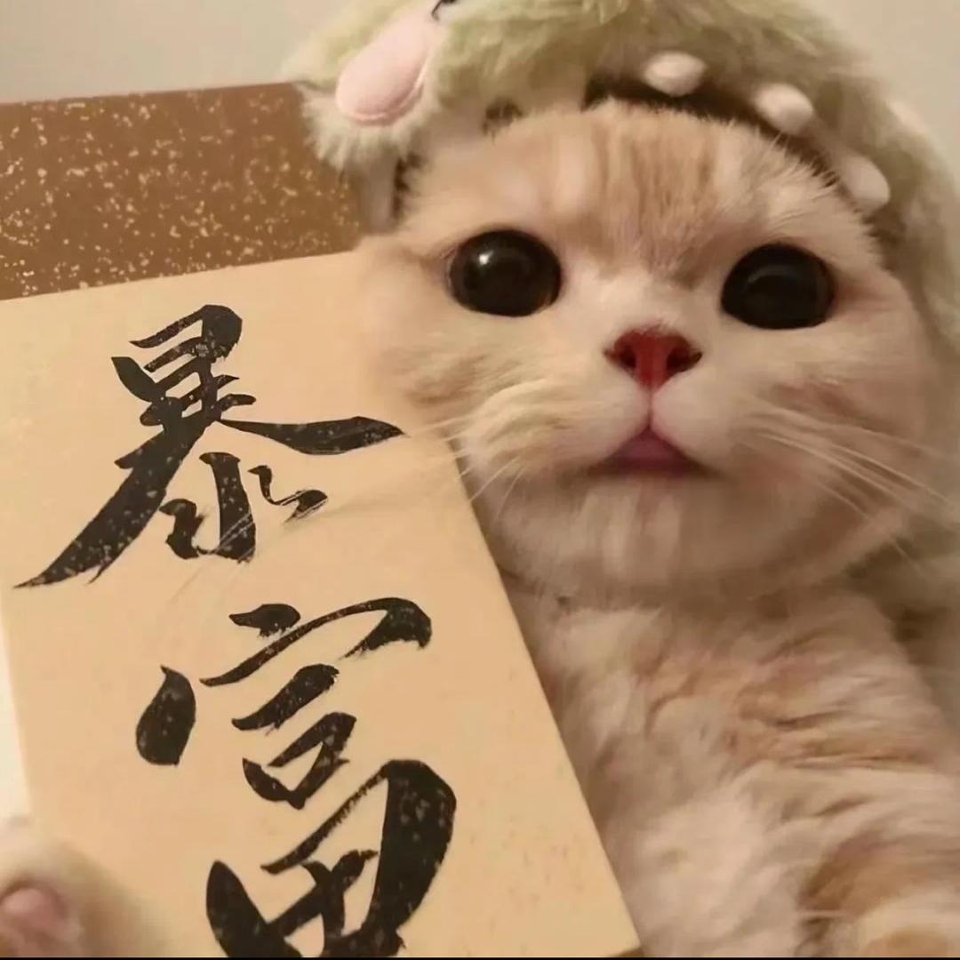 拉不宠物