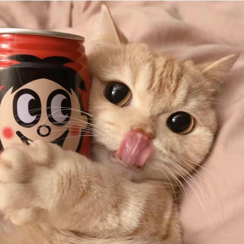 敢敢呀