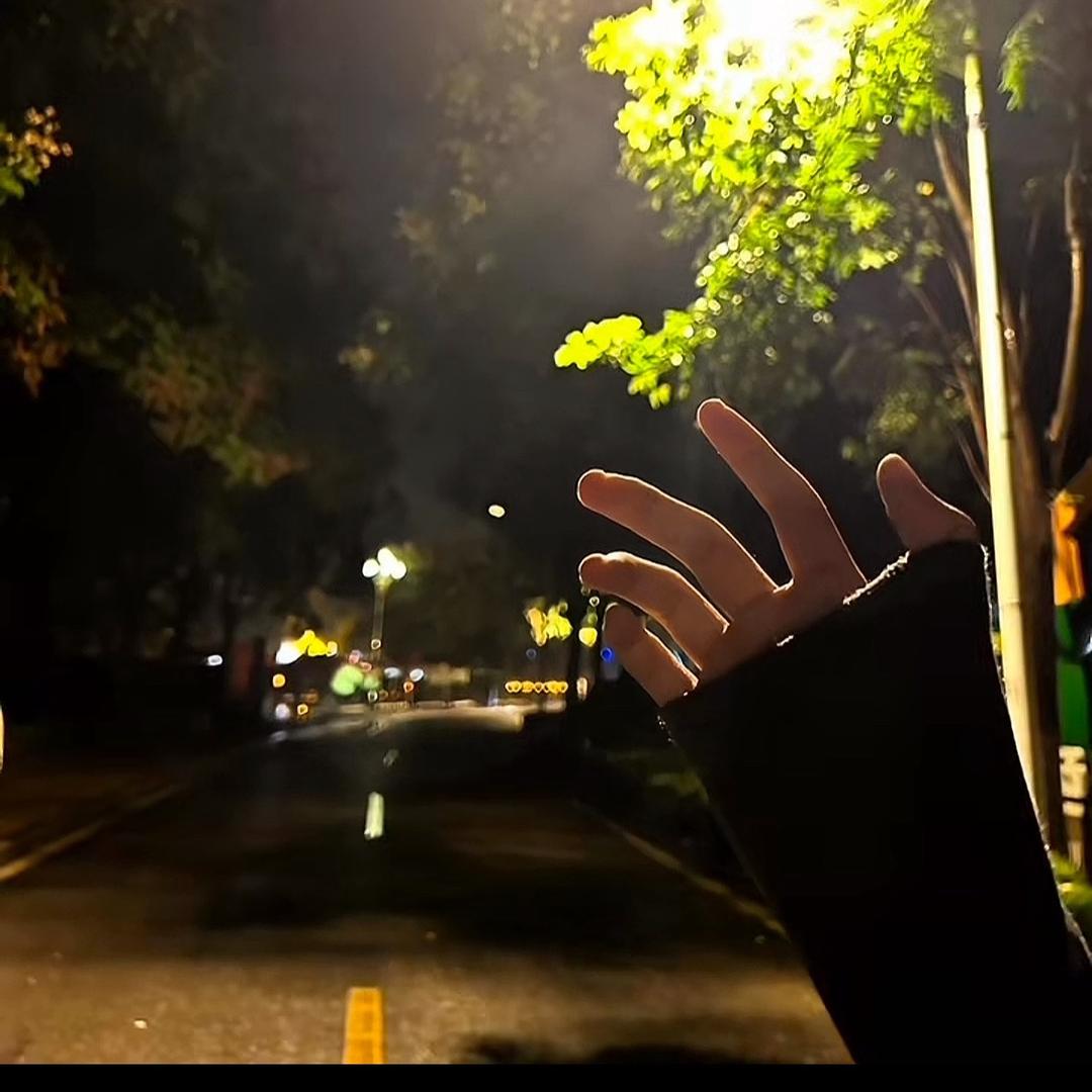 一介凡夫