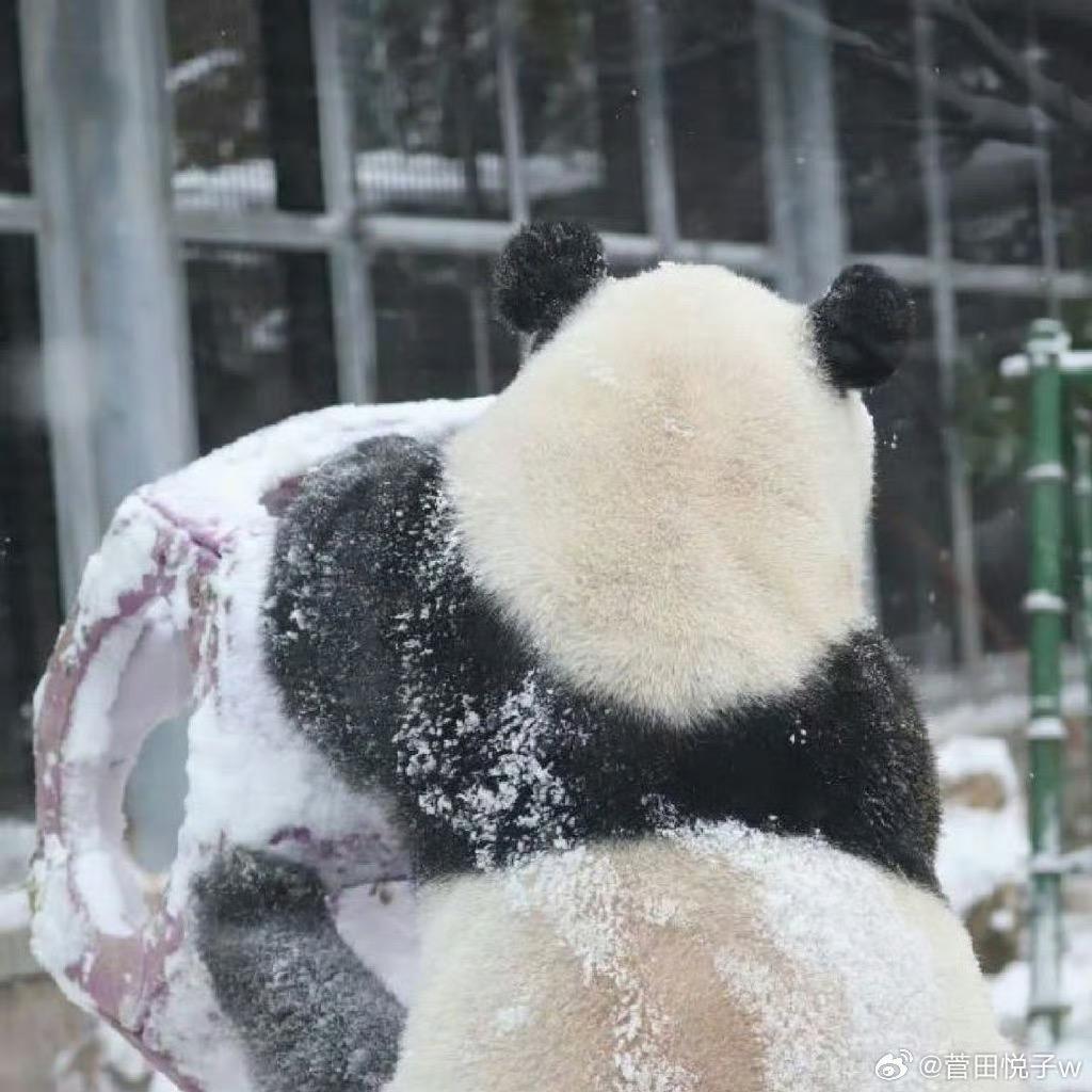 么么儿