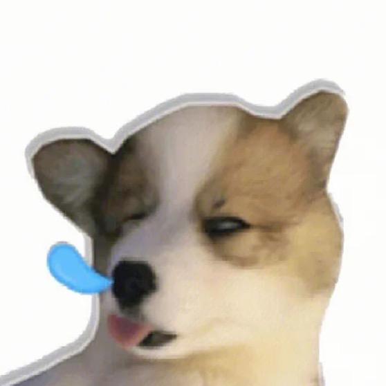 王炸汉堡