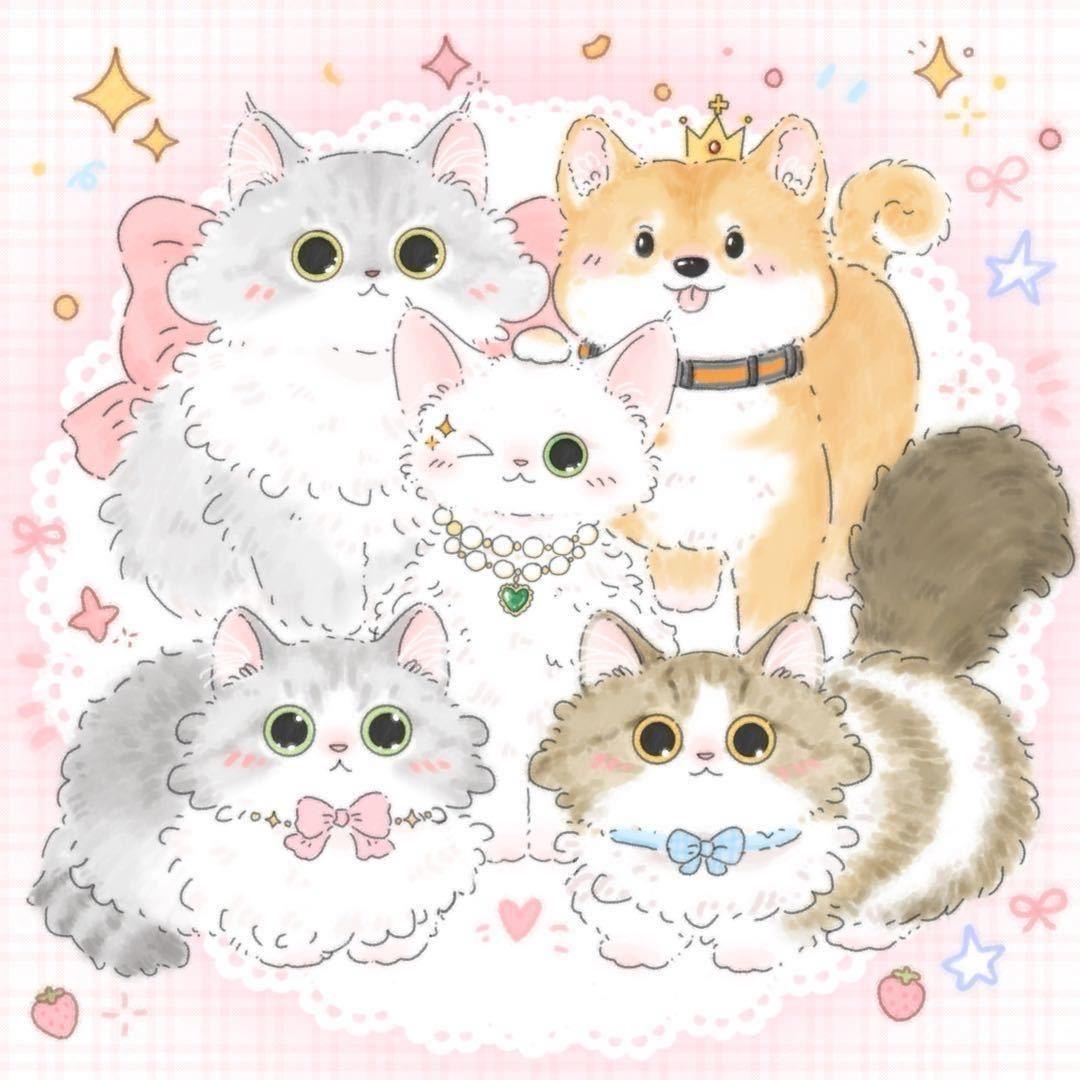 球球宠物随心配