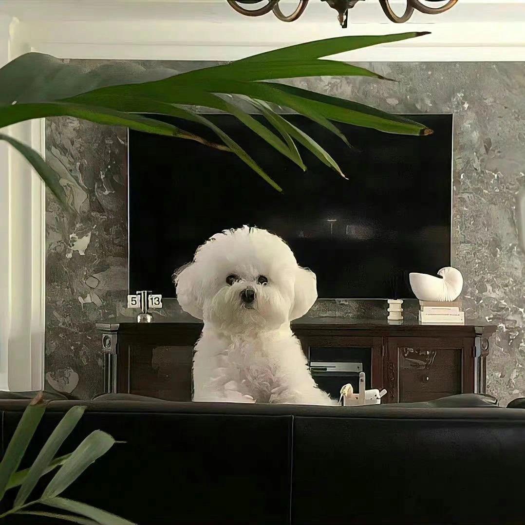 冫