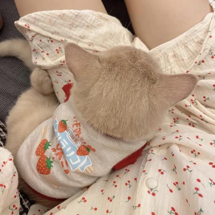 赖皮蛇