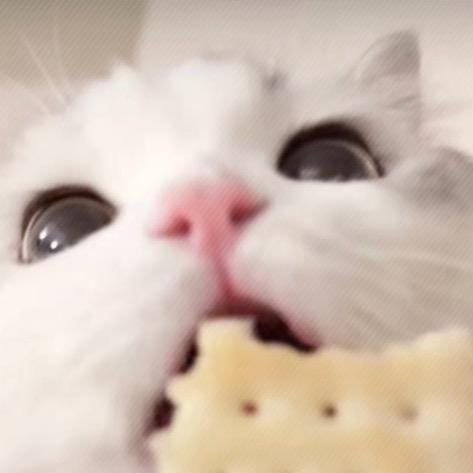 生气的黑椒里脊