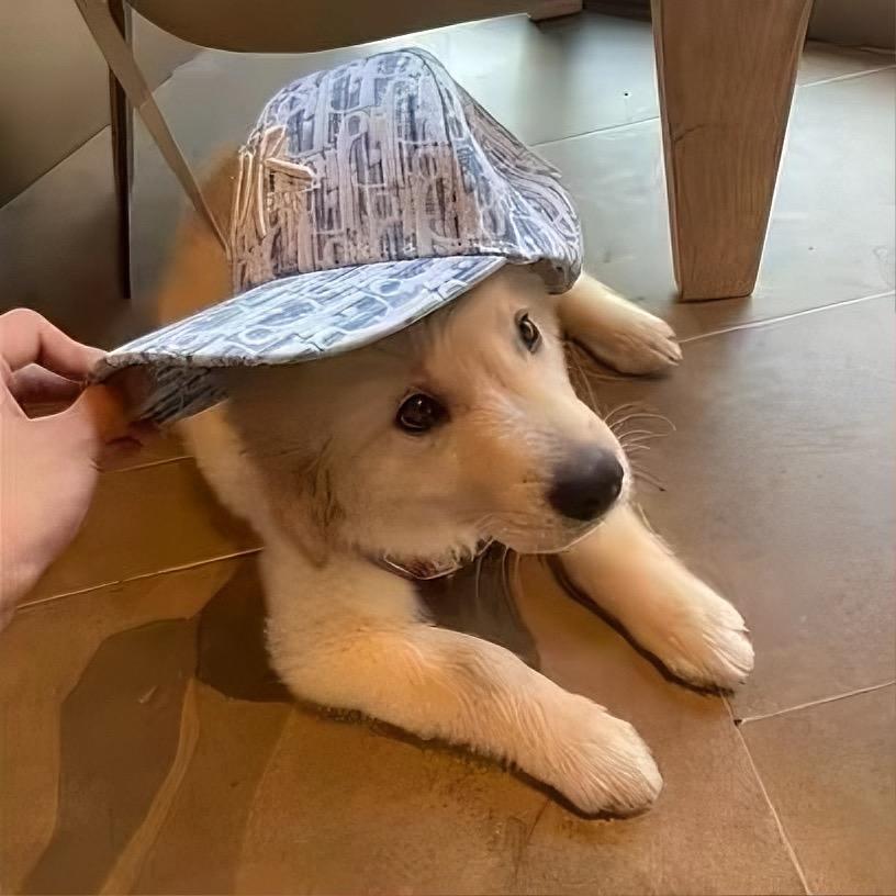 你欠我一个晚安