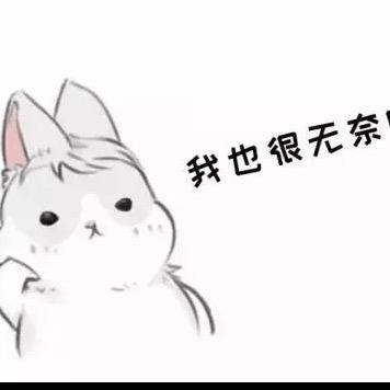 @飞奔大熊猫