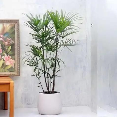 五朵花艺馆