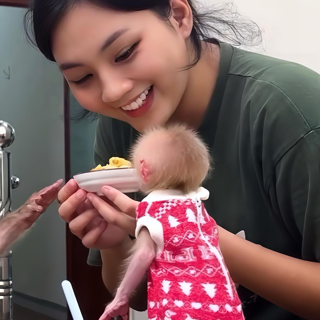越南萌猴：拉.比.乐
