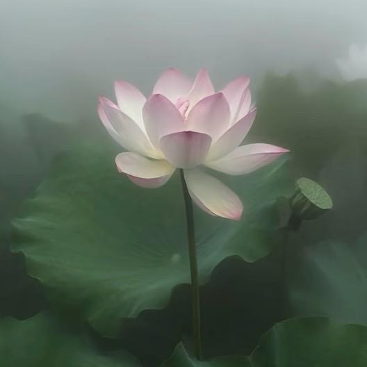 景梁