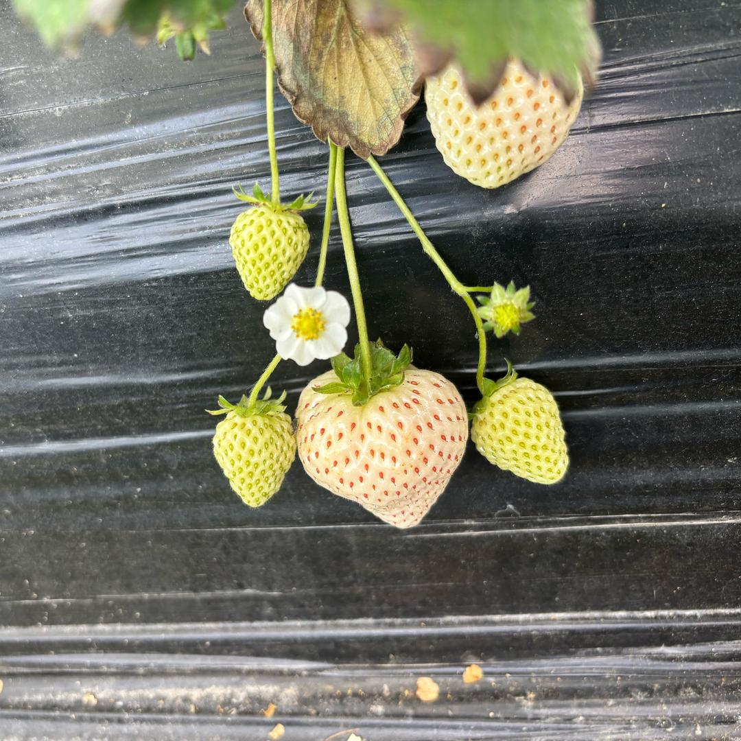 不发脾气只发财