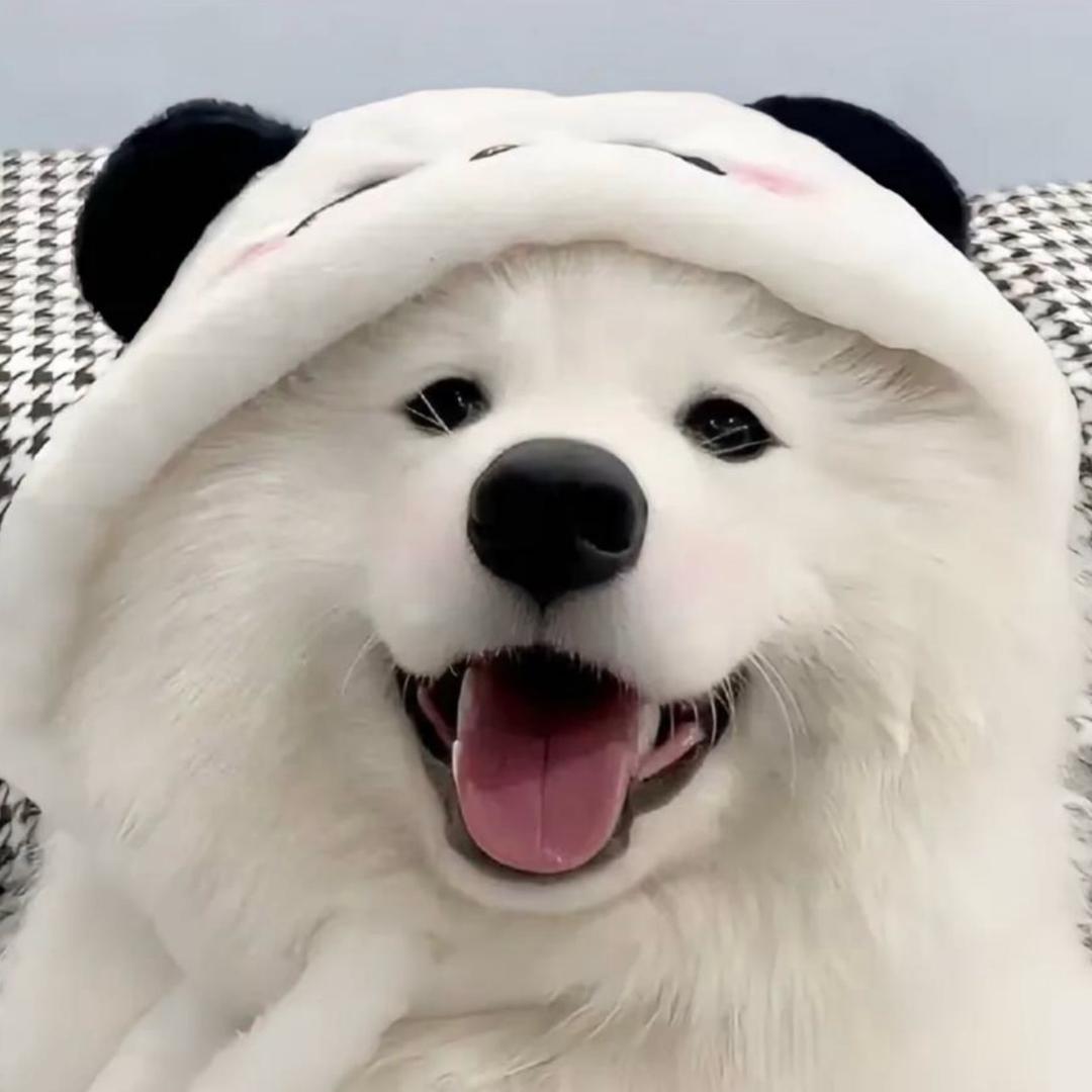 不写散文诗