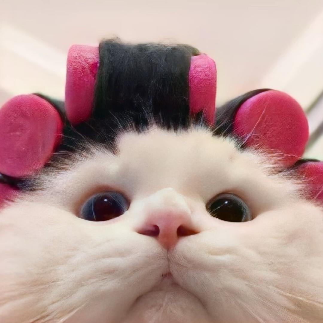 糯玉米
