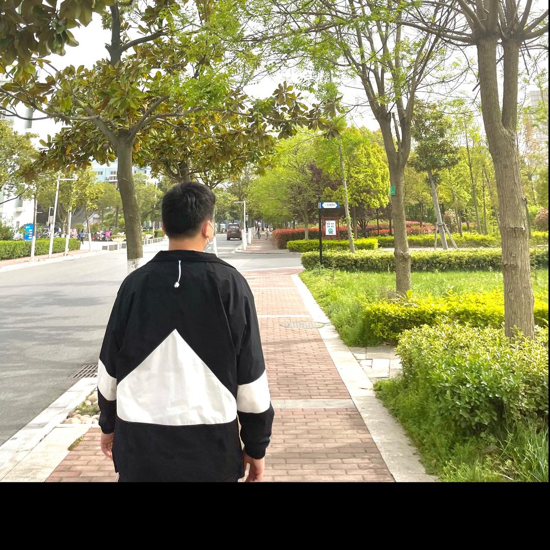 天下至上