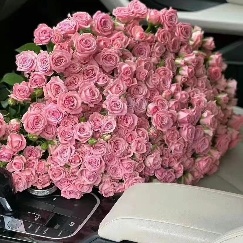 💅alimira🎀小号