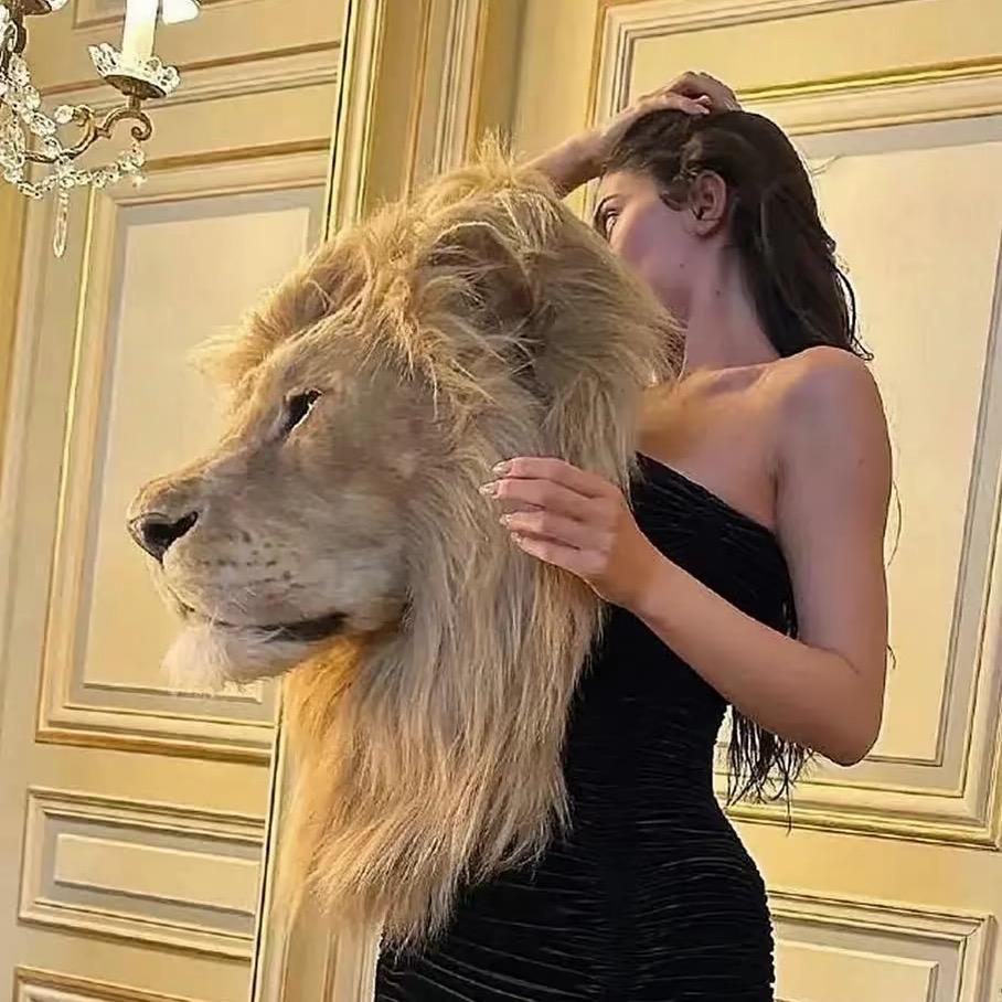小考拉🐨^_^