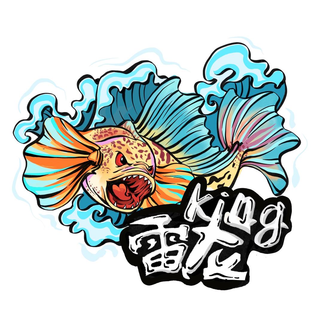 雷龙king观赏鱼工作室