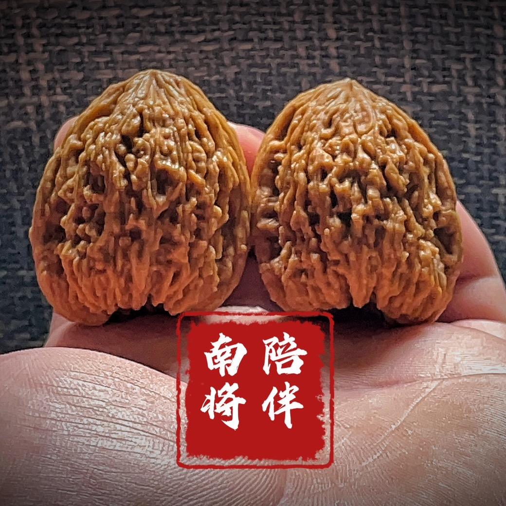 陪伴（南疆石南将石）