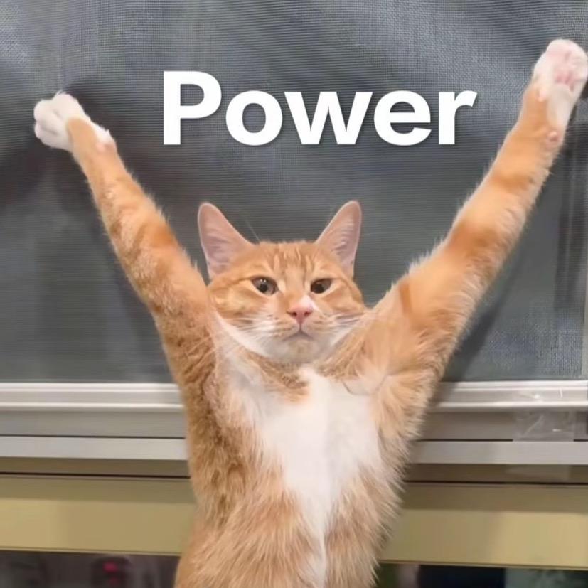 一直在锻炼只不过是胃