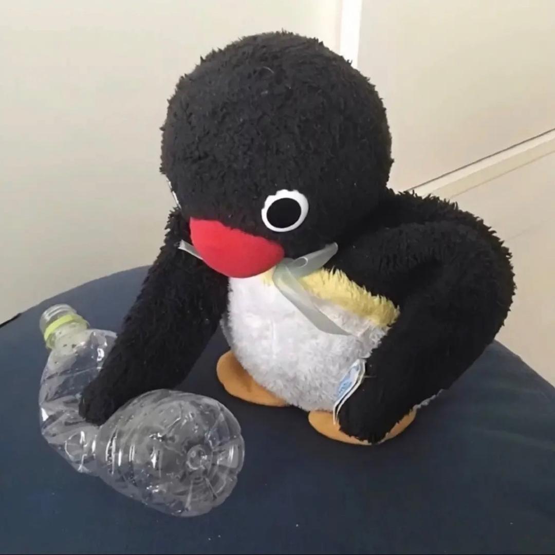 绯世