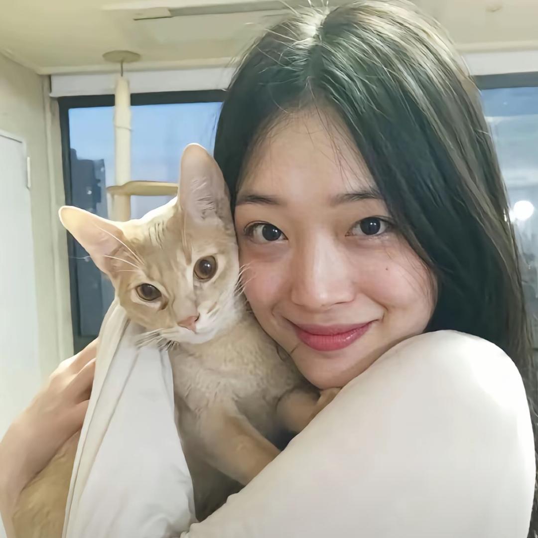 史迪曼