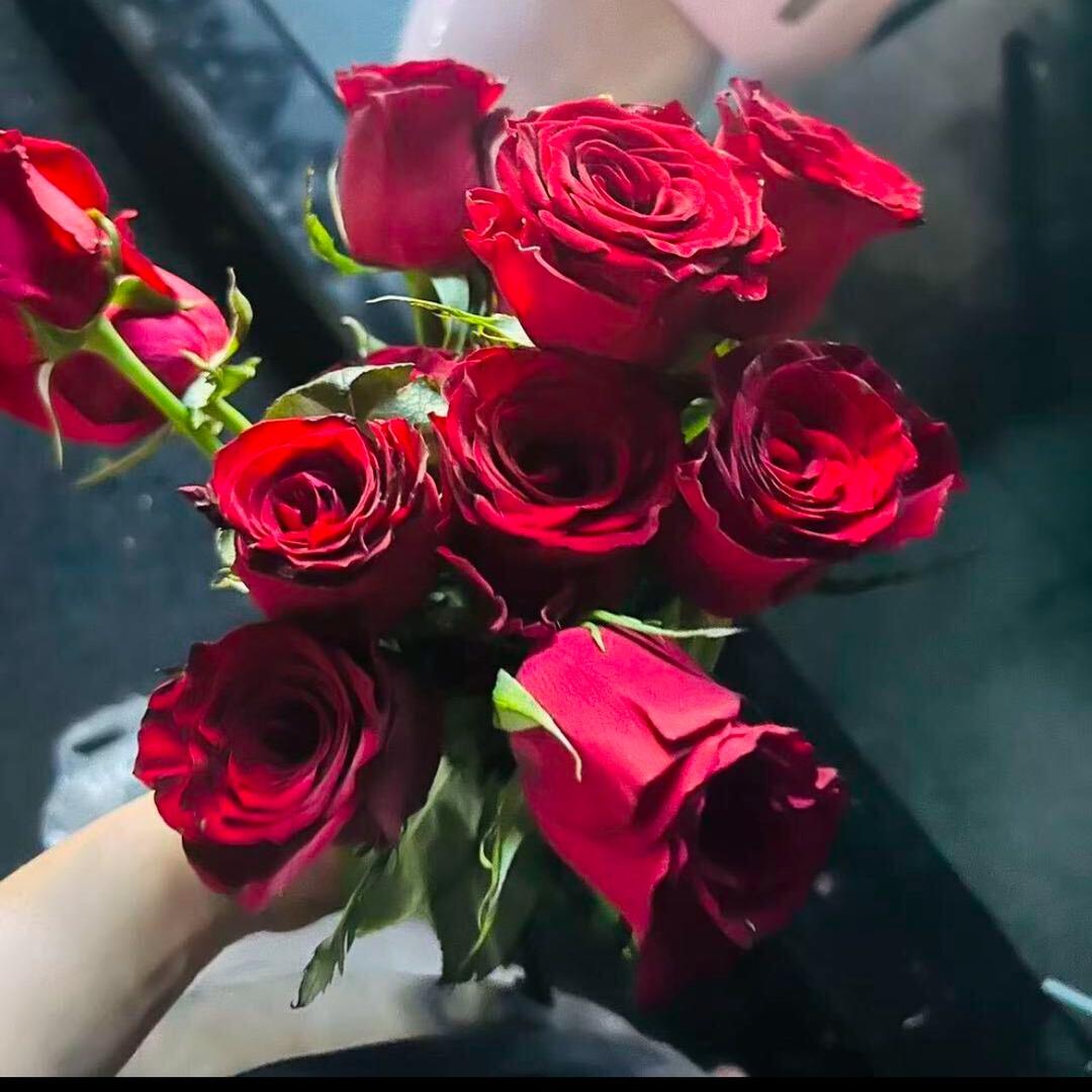 赠人🌹手留余香