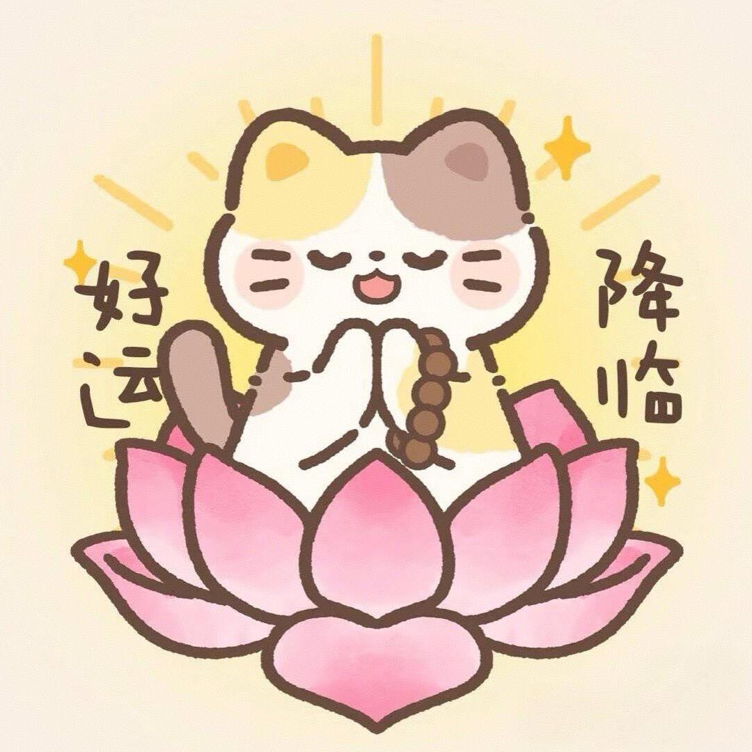 乔木木