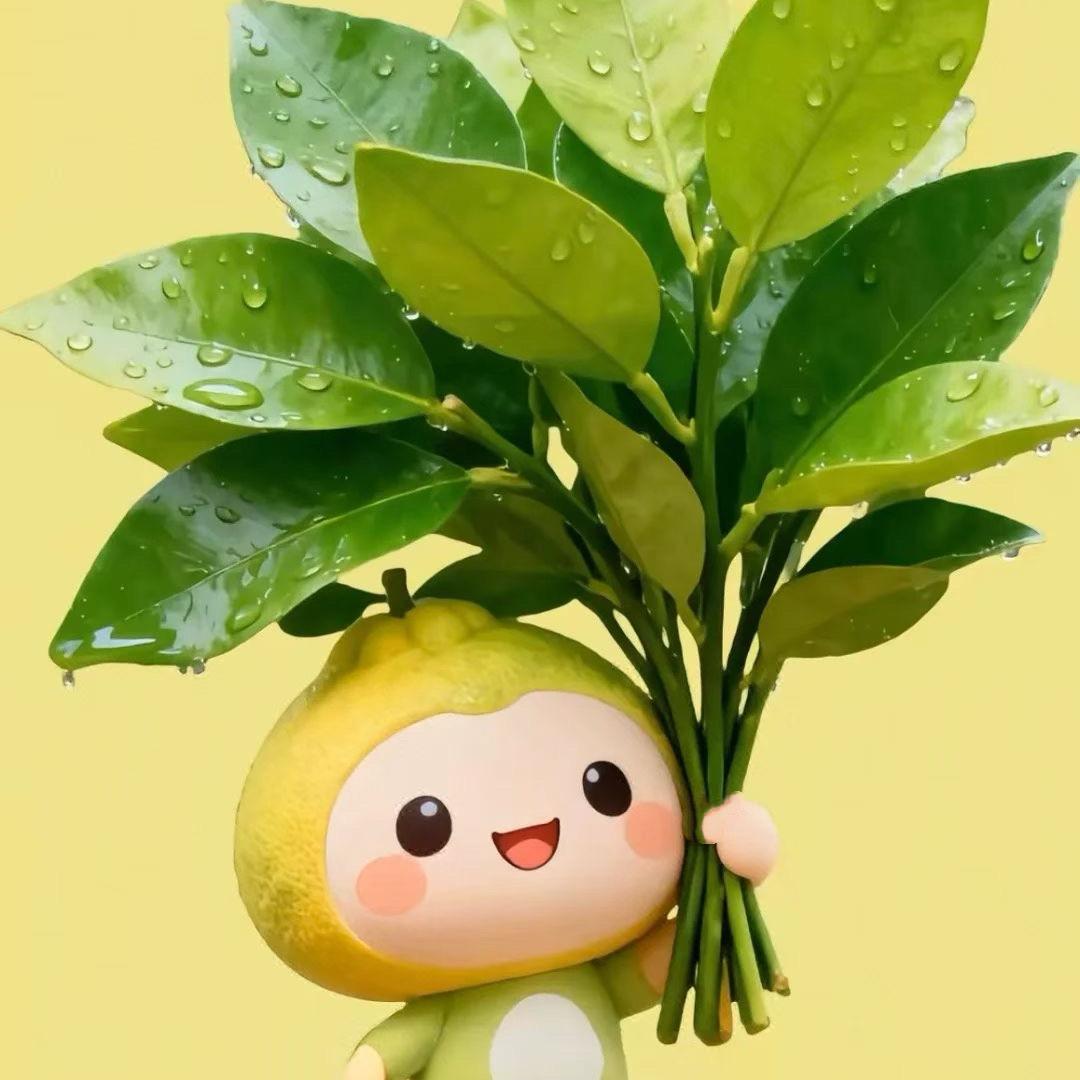 钱兔无量