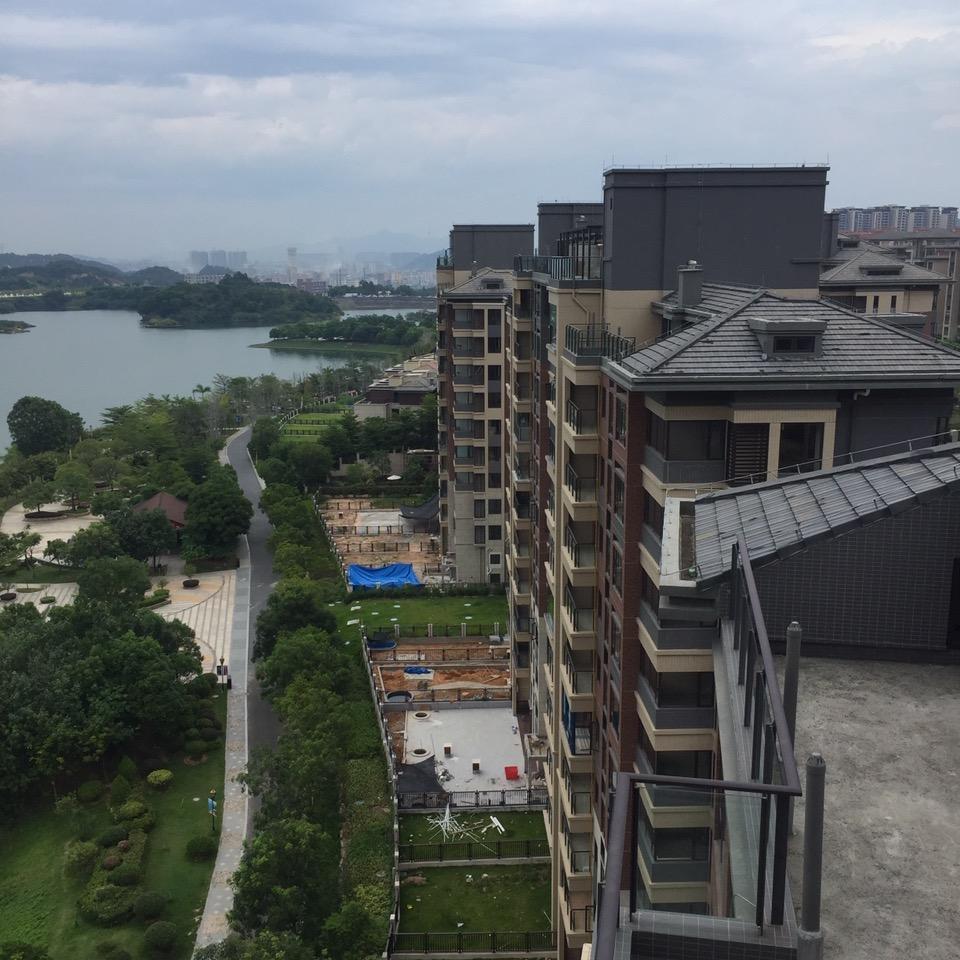 淡定