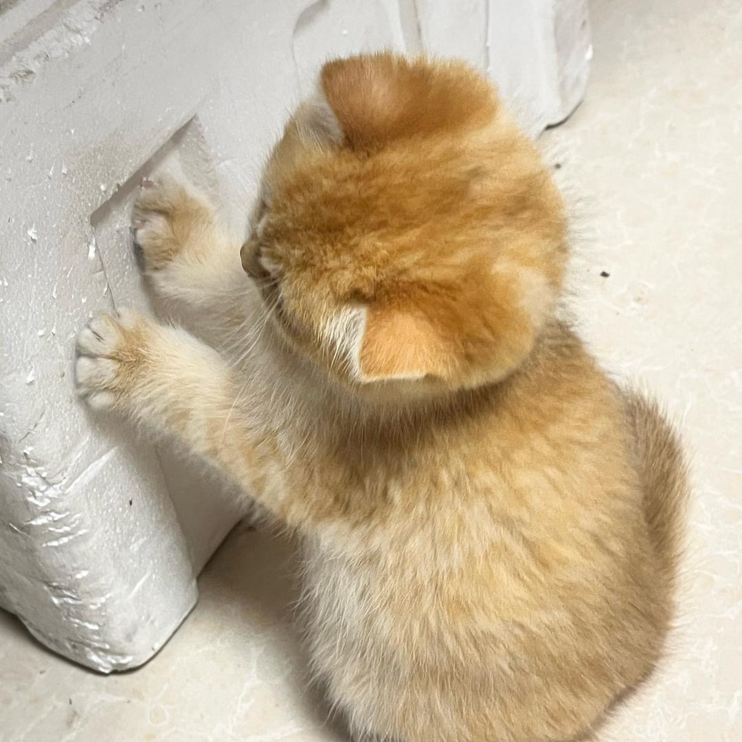 武汉人社培训蕾诗