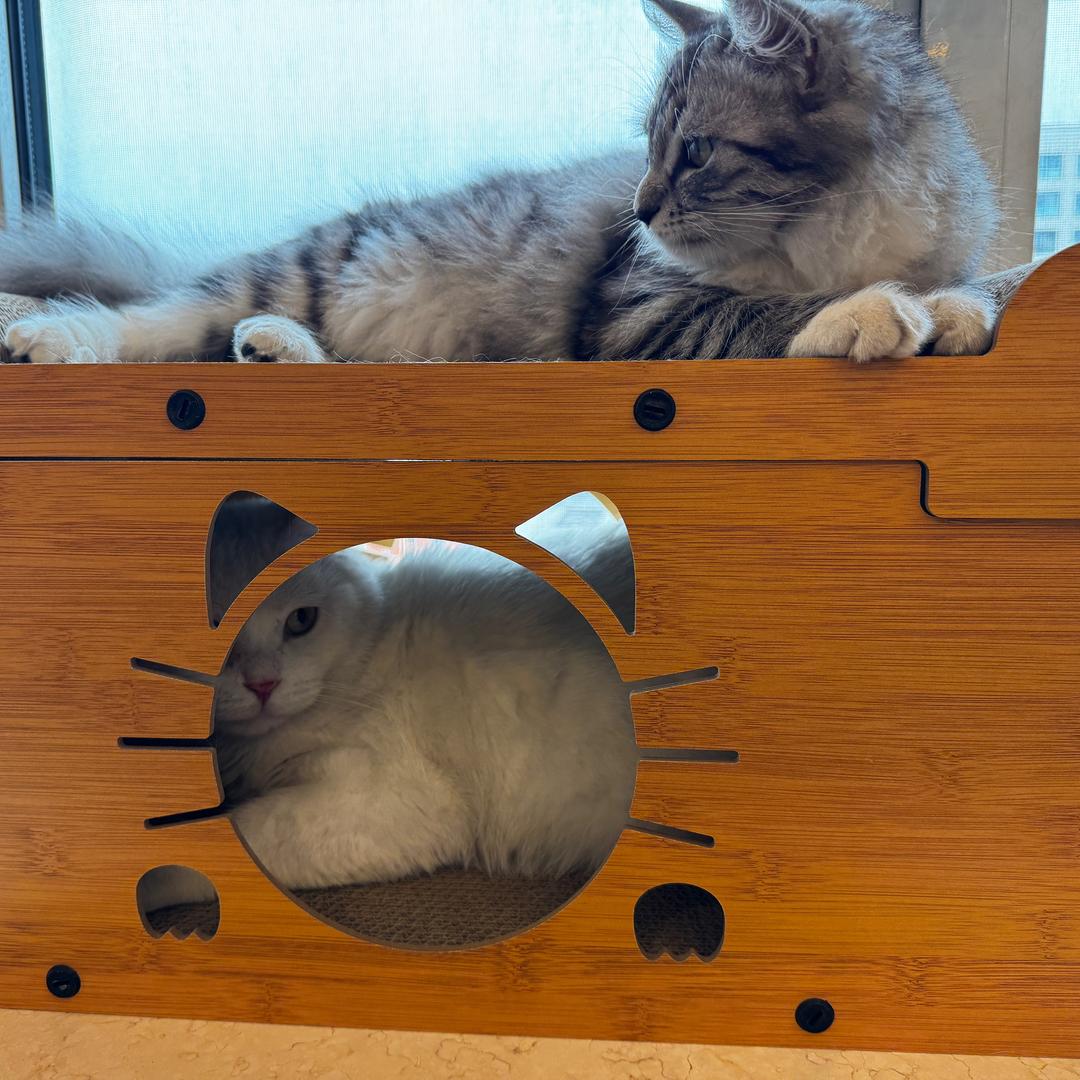 真相大白话@抖音