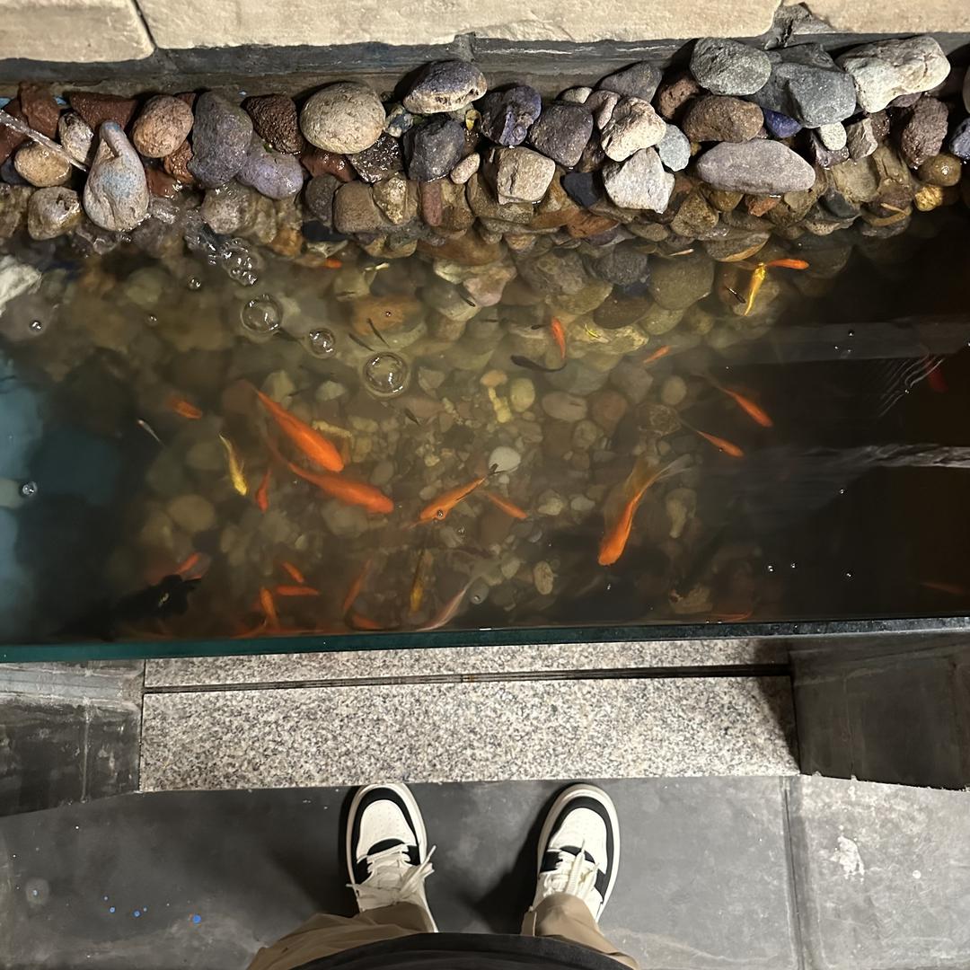 唯创收藏龙泉市2