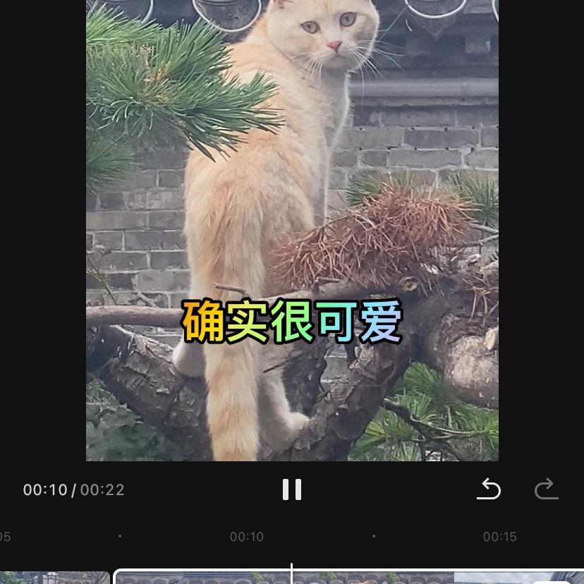 一路发乔春红