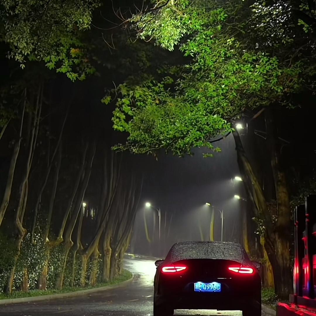 🌈爱吃菠萝🍍