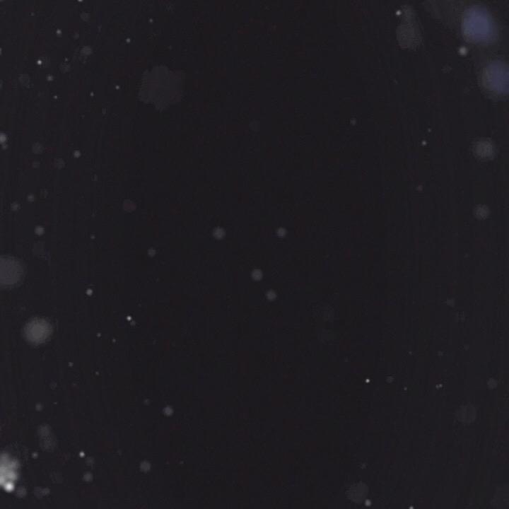 蓝蓝