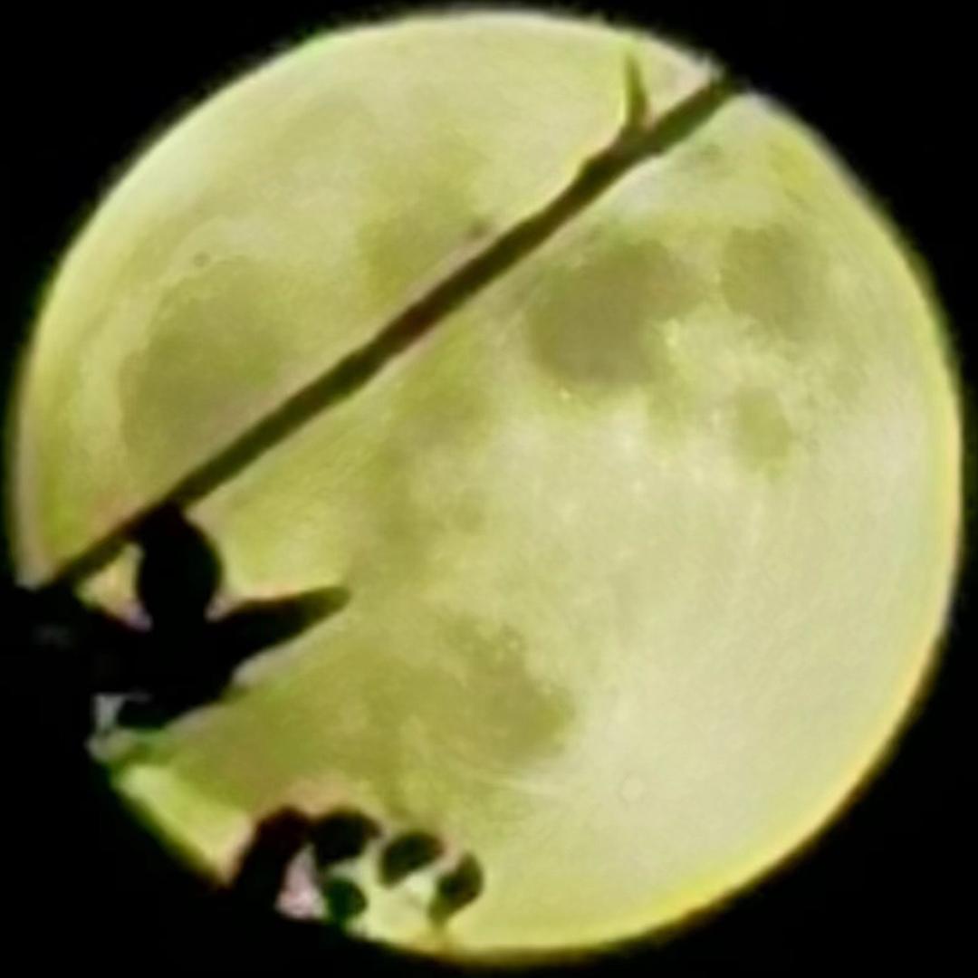 宛梦玉工作室
