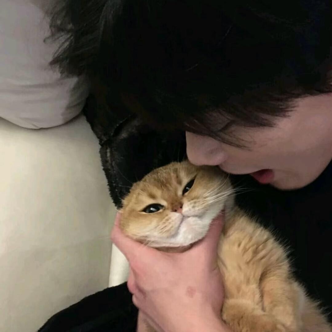 南屿.