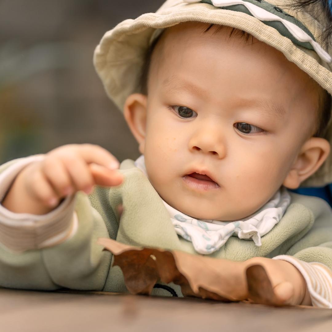 一只小鱼儿