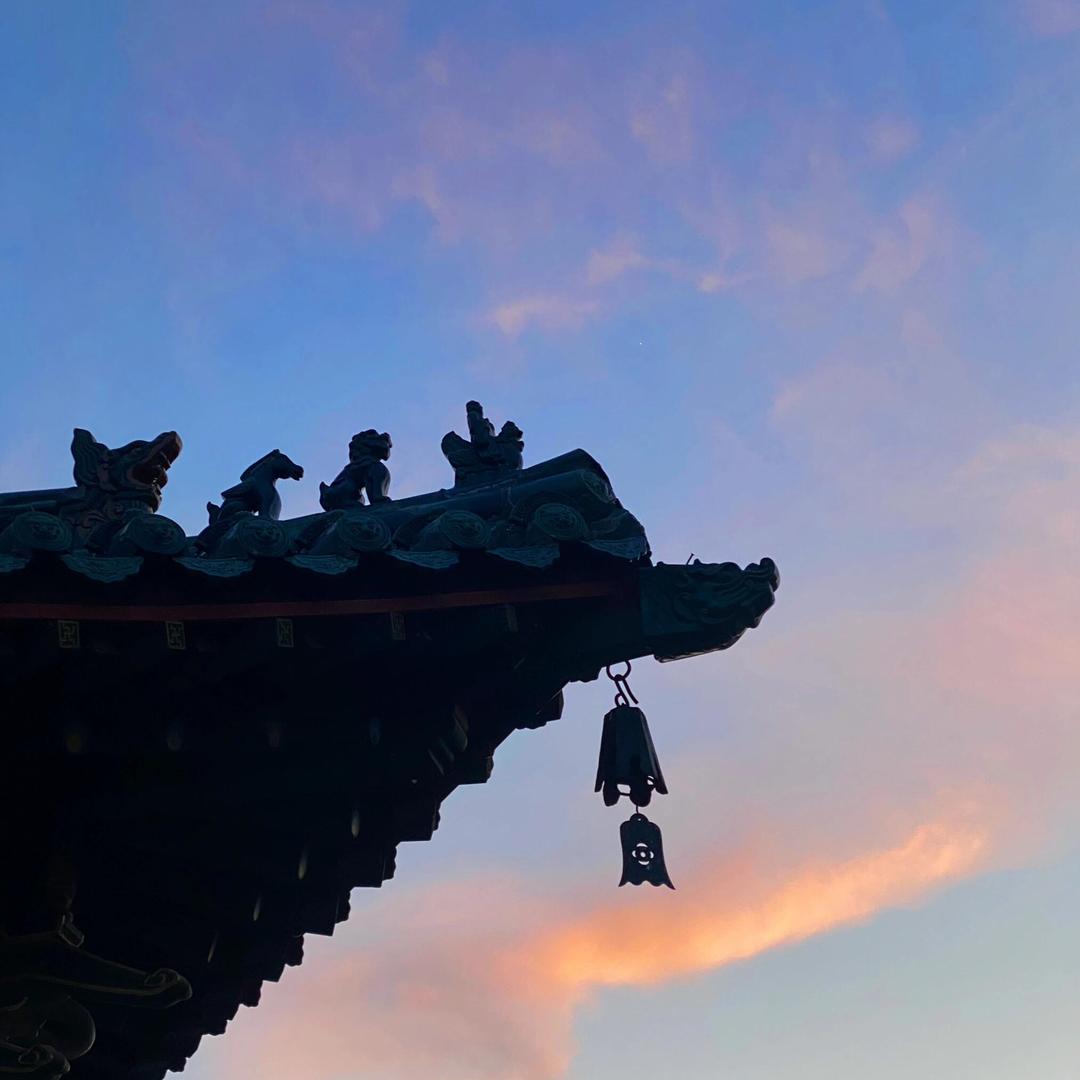 橙子居士