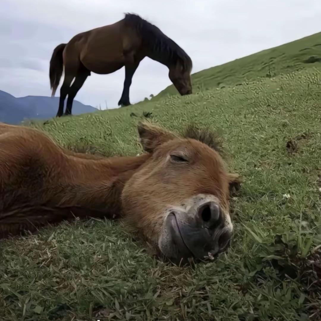 成都途途专业汽车陪练