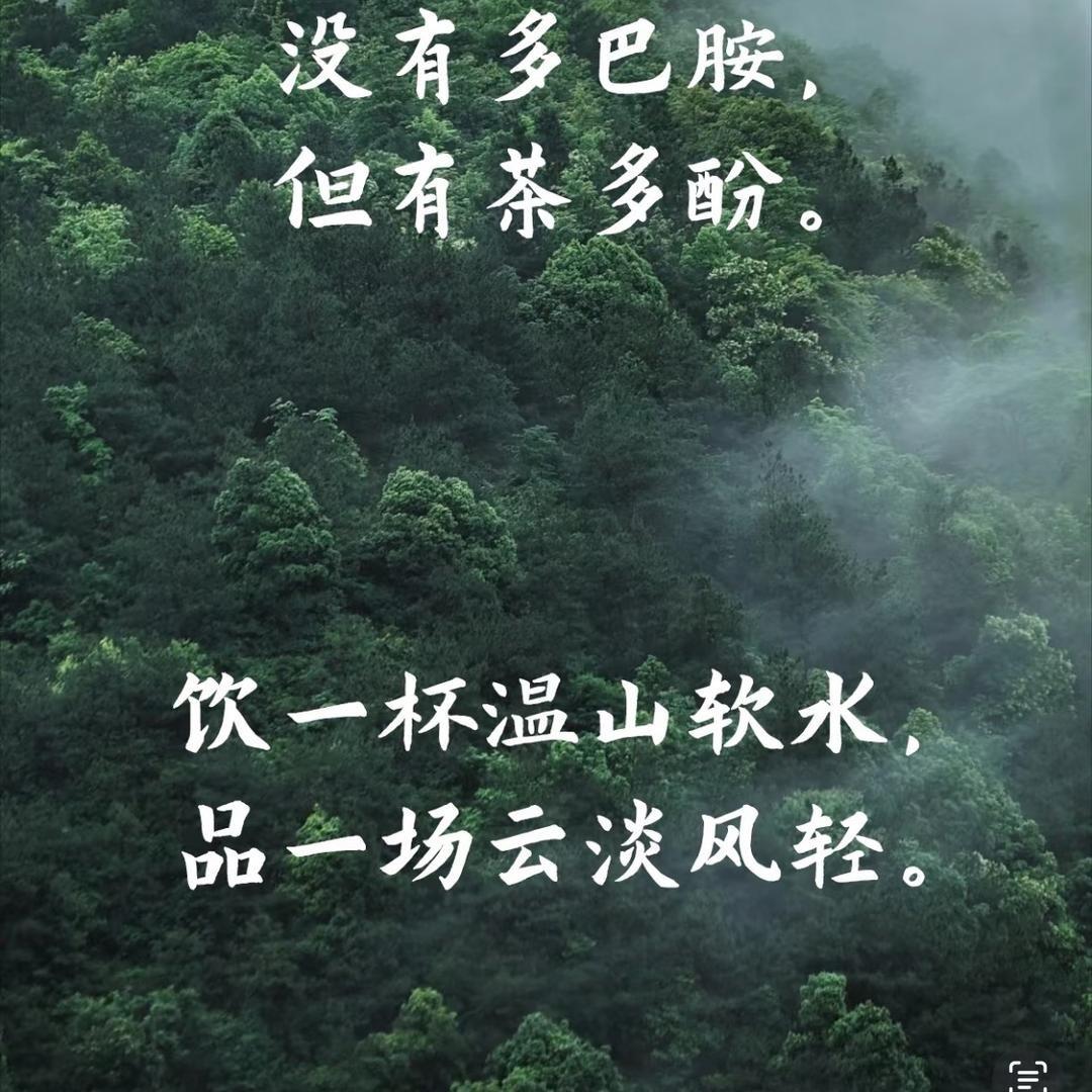 傣圆茶坊初制所