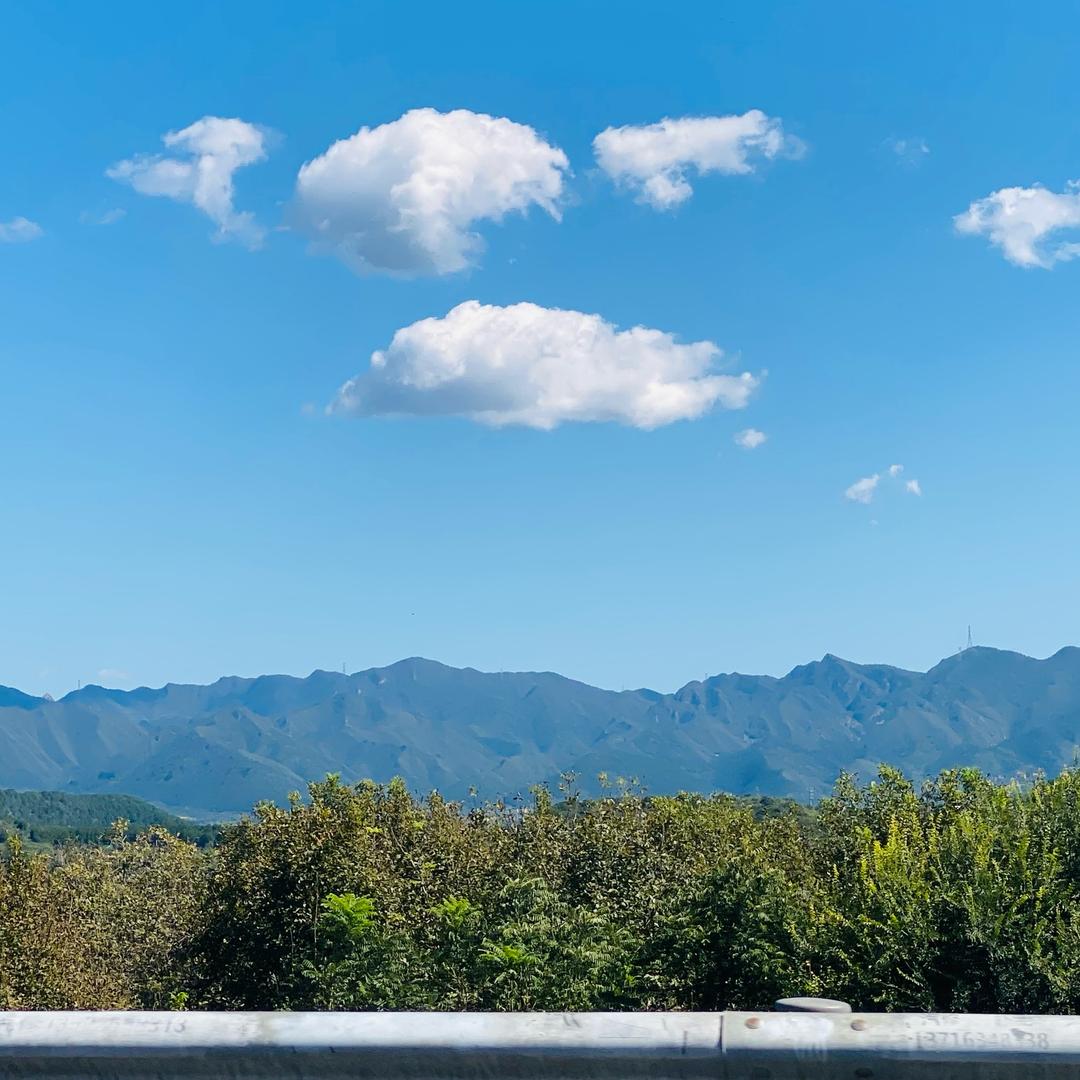 布拉吉情感故事