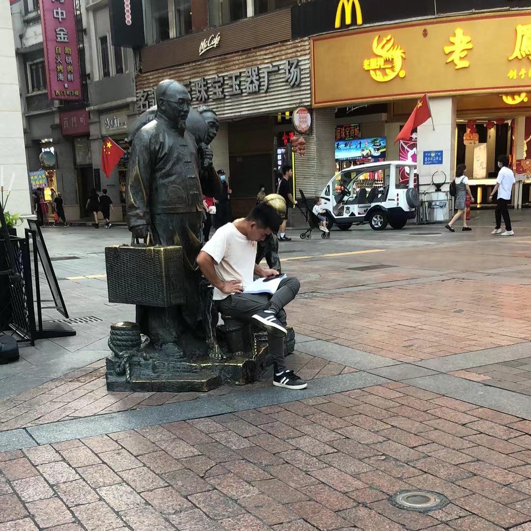 白山茶 终究 敌不过红玫瑰