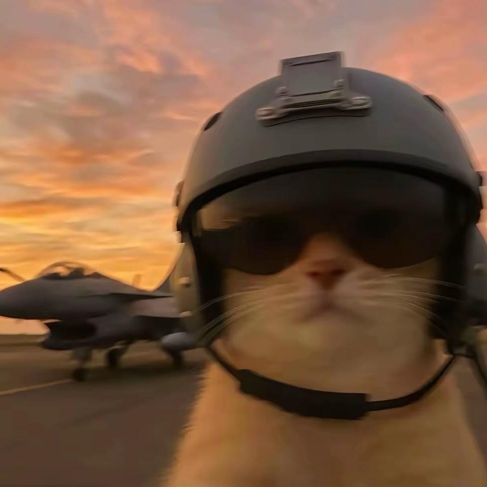 英语学不会不改名