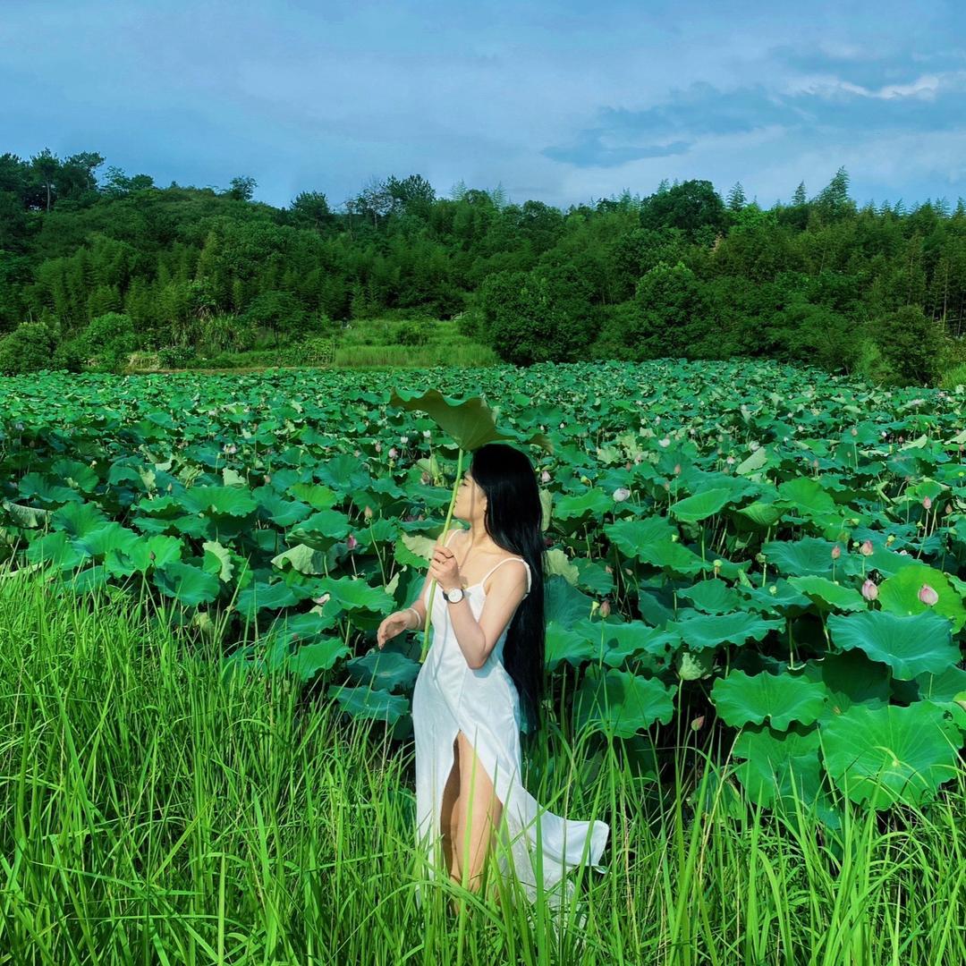 小杨西