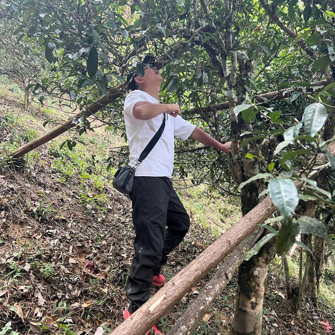 涛哥说
