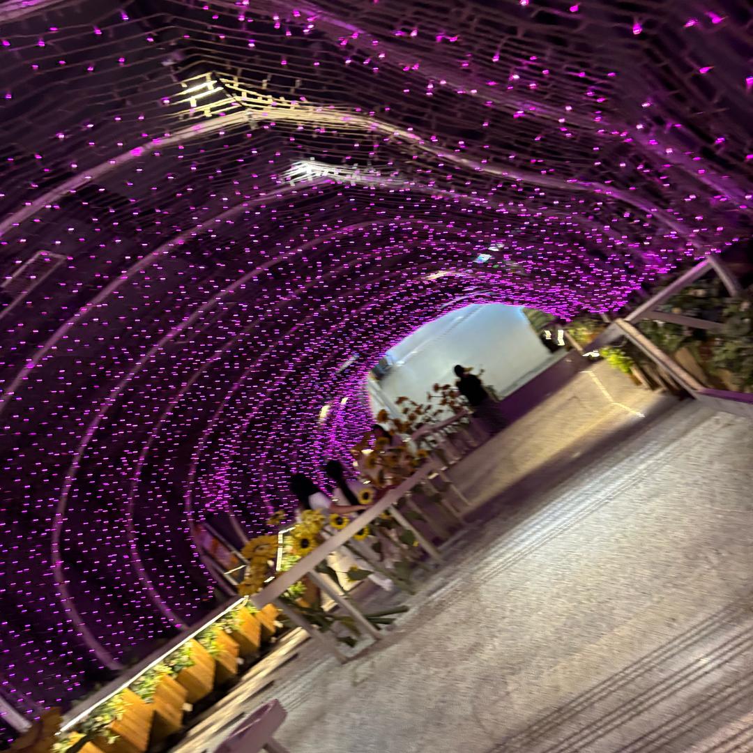 用户35413874624895