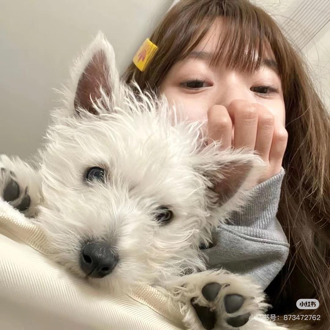 𝙝𝙤𝙥𝙚🌤ˢᵘⁿᵈᵃʸ